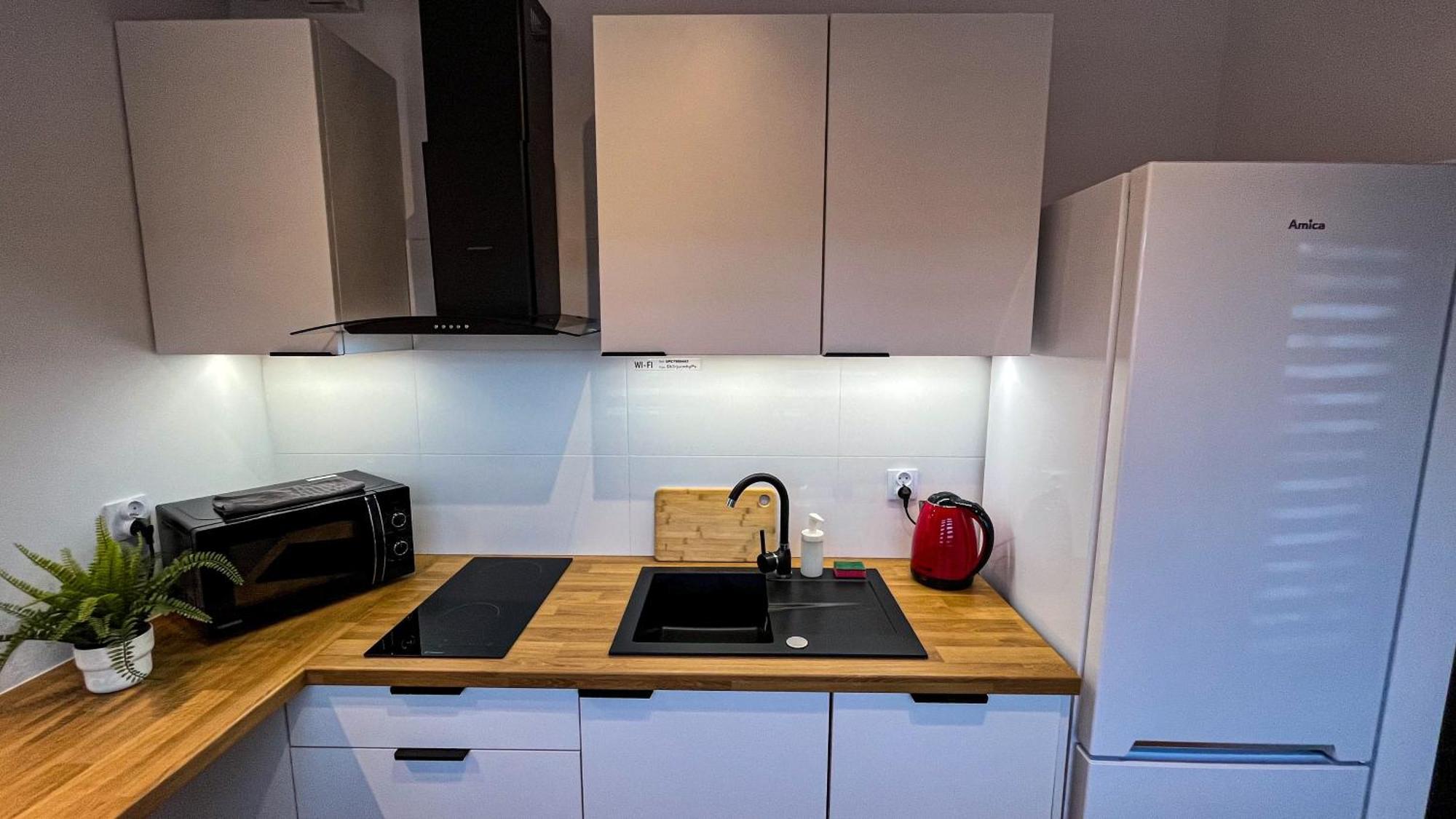 Apartament Lublin Centrum „Ice Cat” Εξωτερικό φωτογραφία